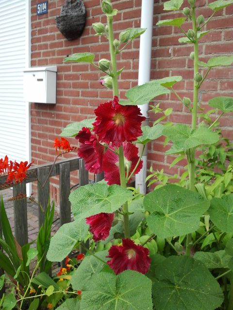 2014-07-02 09.59.03.jpg
